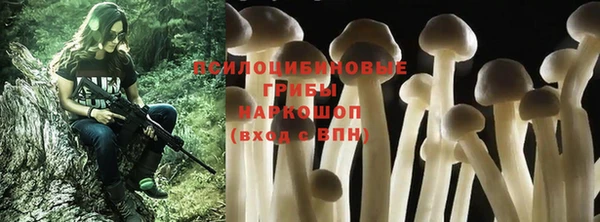 МДПВ Абинск