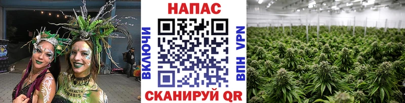 Шишки марихуана MAZAR  Сысерть 